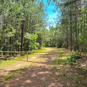 Photo #38 of Off of Moore's Ferry Road, Skippers, VA 145.0 acres