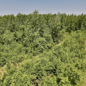 Photo #15 of Lot 20 Guinea Mill Rd, Ernul, NC 34.9 acres