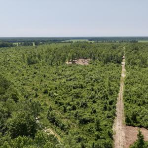 Photo #1 of Lot 20 Guinea Mill Rd, Ernul, NC 34.9 acres