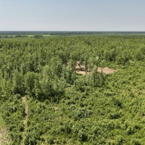 Photo #23 of Lot 20 Guinea Mill Rd, Ernul, NC 34.9 acres