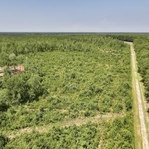 Photo #24 of Lot 20 Guinea Mill Rd, Ernul, NC 34.9 acres