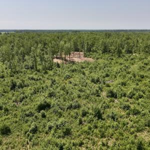 Photo #27 of Lot 20 Guinea Mill Rd, Ernul, NC 34.9 acres