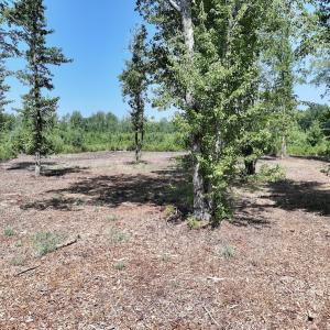 Photo #29 of Lot 20 Guinea Mill Rd, Ernul, NC 34.9 acres