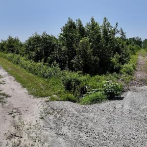 Photo #30 of Lot 20 Guinea Mill Rd, Ernul, NC 34.9 acres