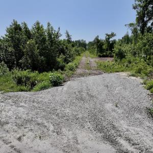 Photo #31 of Lot 20 Guinea Mill Rd, Ernul, NC 34.9 acres