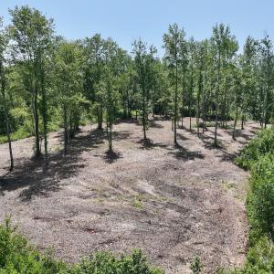 Photo #3 of Lot 20 Guinea Mill Rd, Ernul, NC 34.9 acres
