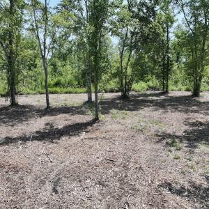 Photo #6 of Lot 20 Guinea Mill Rd, Ernul, NC 34.9 acres