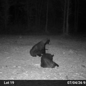 Photo #7 of Lot 20 Guinea Mill Rd, Ernul, NC 34.9 acres