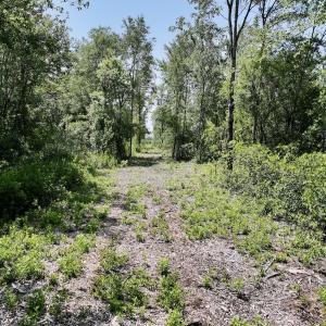 Photo #8 of Lot 20 Guinea Mill Rd, Ernul, NC 34.9 acres