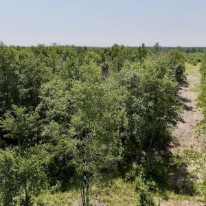 Photo #9 of Lot 20 Guinea Mill Rd, Ernul, NC 34.9 acres