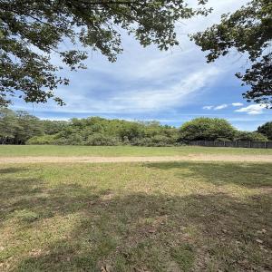 Photo #12 of 9313 Baileywick Rd, Raleigh, NC 0.4 acres