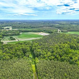 Photo #14 of Off Colonial Trail West, Spring Grove, VA 47.0 acres