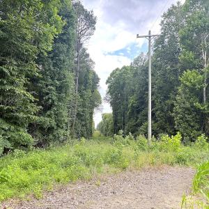 Photo #16 of Off Colonial Trail West, Spring Grove, VA 47.0 acres