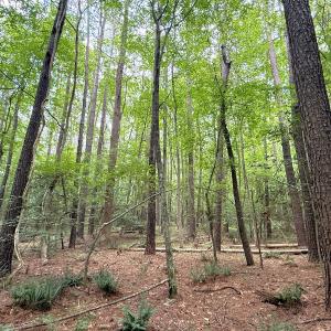 Photo #19 of Off Colonial Trail West, Spring Grove, VA 47.0 acres
