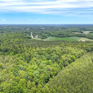 Photo #20 of Off Colonial Trail West, Spring Grove, VA 47.0 acres