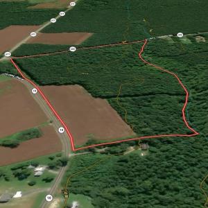 Photo #3 of Off Colonial Trail West, Spring Grove, VA 47.0 acres