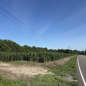 Photo #4 of Off Colonial Trail West, Spring Grove, VA 47.0 acres