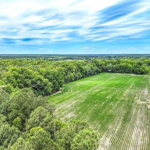 Photo #7 of Off Colonial Trail West, Spring Grove, VA 47.0 acres