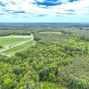 Photo #10 of Off Colonial Trail West, Spring Grove, VA 47.0 acres