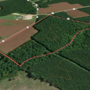 Photo #11 of Off Colonial Trail West, Spring Grove, VA 47.0 acres