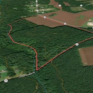 Photo #21 of Off Colonial Trail West, Spring Grove, VA 47.0 acres