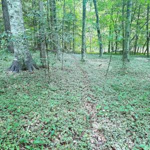 Photo #22 of Off Colonial Trail West, Spring Grove, VA 47.0 acres