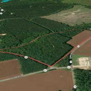 Photo #26 of Off Colonial Trail West, Spring Grove, VA 47.0 acres