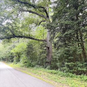 Photo #27 of Off Colonial Trail West, Spring Grove, VA 47.0 acres