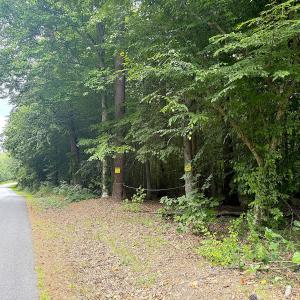 Photo #28 of Off Colonial Trail West, Spring Grove, VA 47.0 acres