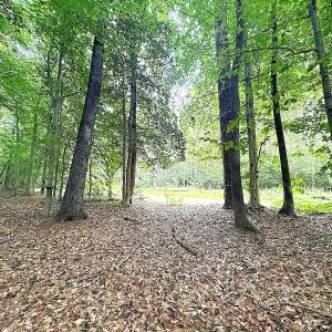 Photo #29 of Off Colonial Trail West, Spring Grove, VA 47.0 acres