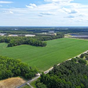 Photo #13 of 96 White Marsh Rd, Elberon, VA 96.3 acres