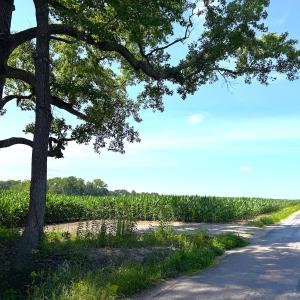 Photo #14 of 96 White Marsh Rd, Elberon, VA 96.3 acres