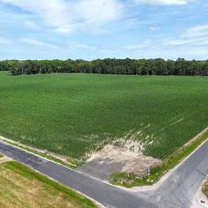Photo #20 of 96 White Marsh Rd, Elberon, VA 96.3 acres
