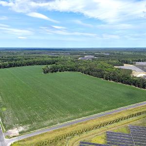 Photo #1 of 96 White Marsh Rd, Elberon, VA 96.3 acres