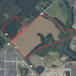Photo #2 of 96 White Marsh Rd, Elberon, VA 96.3 acres