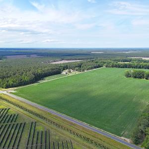 Photo #3 of 96 White Marsh Rd, Elberon, VA 96.3 acres