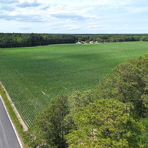 Photo #5 of 96 White Marsh Rd, Elberon, VA 96.3 acres