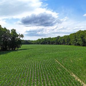 Photo #7 of 96 White Marsh Rd, Elberon, VA 96.3 acres