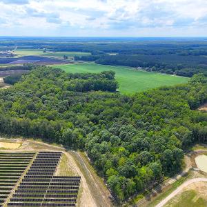 Photo #9 of 96 White Marsh Rd, Elberon, VA 96.3 acres