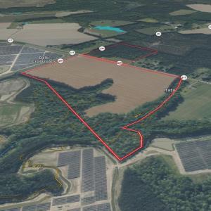 Photo #10 of 96 White Marsh Rd, Elberon, VA 96.3 acres