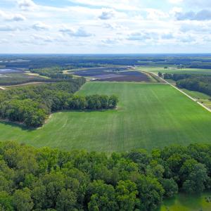 Photo #11 of 96 White Marsh Rd, Elberon, VA 96.3 acres