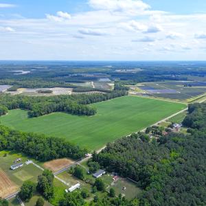 Photo #12 of 96 White Marsh Rd, Elberon, VA 96.3 acres