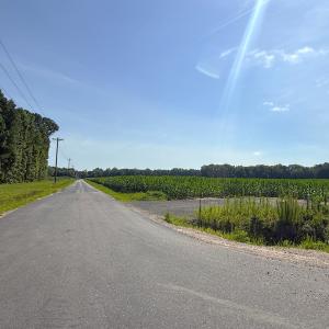 Photo #21 of 96 White Marsh Rd, Elberon, VA 96.3 acres