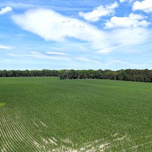 Photo #22 of 96 White Marsh Rd, Elberon, VA 96.3 acres