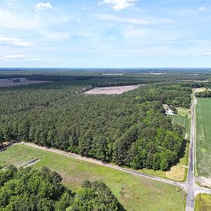 Photo #23 of 96 White Marsh Rd, Elberon, VA 96.3 acres