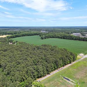 Photo #24 of 96 White Marsh Rd, Elberon, VA 96.3 acres