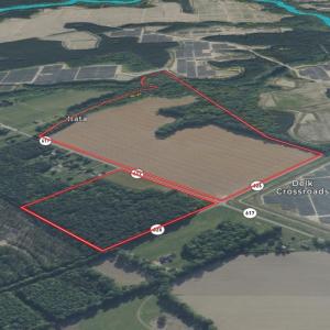 Photo #25 of 96 White Marsh Rd, Elberon, VA 96.3 acres