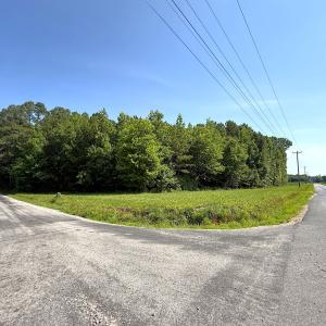 Photo #26 of 96 White Marsh Rd, Elberon, VA 96.3 acres