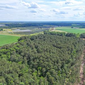 Photo #29 of 96 White Marsh Rd, Elberon, VA 96.3 acres