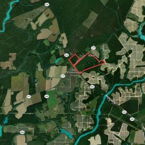 Photo #35 of 96 White Marsh Rd, Elberon, VA 96.3 acres